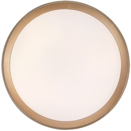 Rabalux - LED-kattovalaisin LED/25W/230V 3000K halkaisija 38 cm