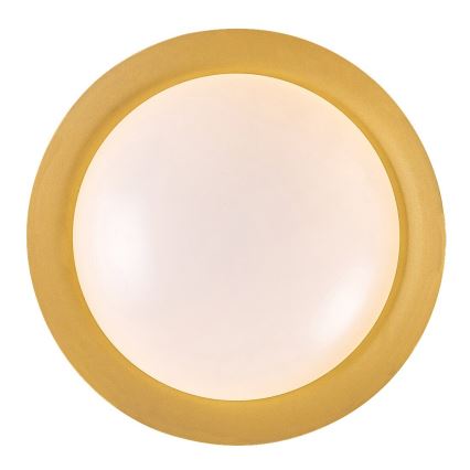 Rabalux - LED-kattovalaisin LED/24W/230V 3000K halkaisija 40 cm
