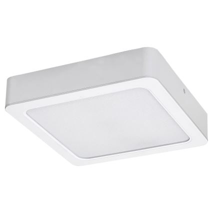 Rabalux - LED-kattovalaisin LED/24W/230V 4000K 22x22 cm valkoinen