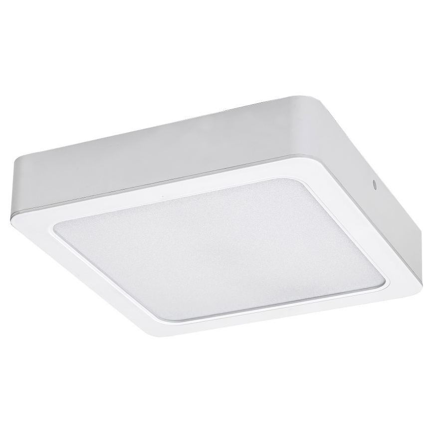 Rabalux - LED-kattovalaisin LED/24W/230V 4000K 22x22 cm valkoinen
