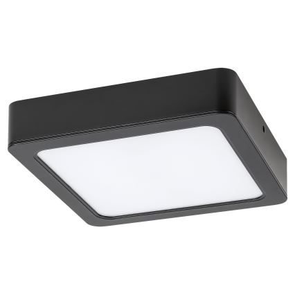 Rabalux - LED-kattovalaisin LED/7W/230V 4000K 12x12 cm musta