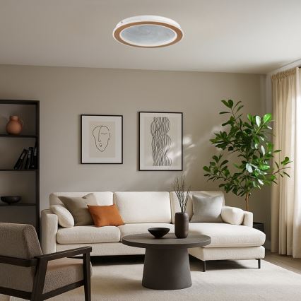 Rabalux - LED-himmennettävä kattovalaisin LED/24W/230V 3000-6500K halkaisija 40 cm + kaukosäädin