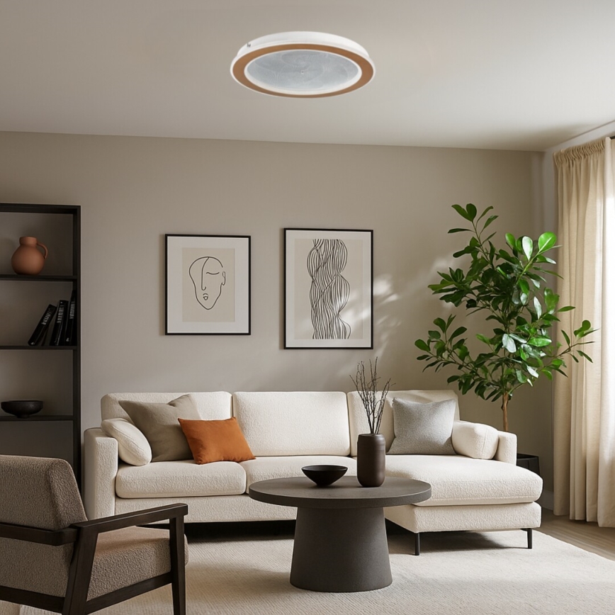 Rabalux - LED-himmennettävä kattovalaisin LED/24W/230V 3000-6500K halkaisija 40 cm + kaukosäädin