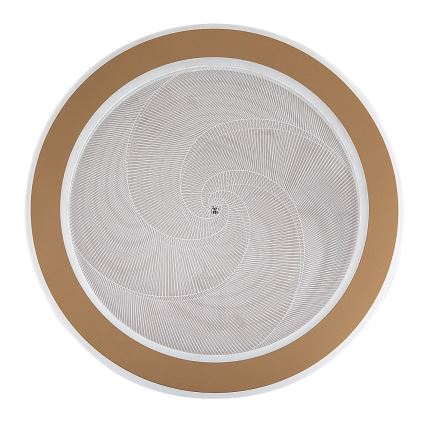 Rabalux - LED-himmennettävä kattovalaisin LED/24W/230V 3000-6500K halkaisija 40 cm + kaukosäädin
