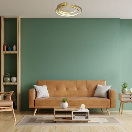 Rabalux - LED-kattovalaisin LED/50W/230V