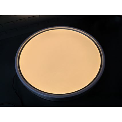 Rabalux - LED-kattovalaisin LED/37W/230V