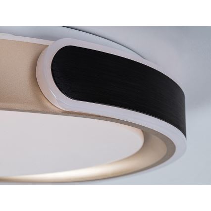 Rabalux - Himmennettävä LED-kattovalaisin LED/48W/230V 3000-6500K + kauko-ohjaus