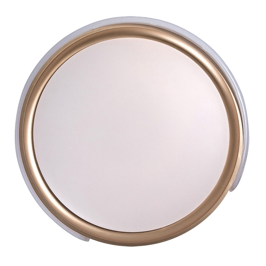 Rabalux - Himmennettävä LED-kattovalaisin LED/48W/230V 3000-6500K + kauko-ohjaus