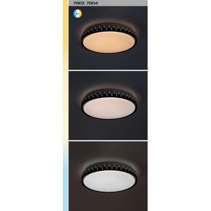 Rabalux - Himmennettävä LED-kattovalaisin LED/48W/230V 3000-6500K + kauko-ohjaus