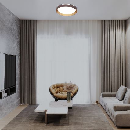 Rabalux - Himmennettävä LED-kattovalaisin LED/48W/230V 3000-6500K + kauko-ohjaus