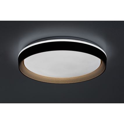 Rabalux - Himmennettävä LED-kattovalaisin LED/48W/230V 3000-6500K + kauko-ohjaus