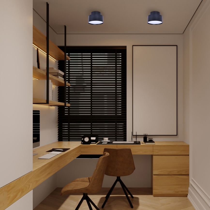 Rabalux - LED-kattovalaisin LED/24W/230V 3000K musta