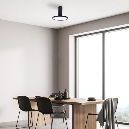 Rabalux - LED-kattovalaisin LED/20W/230V 3000K musta
