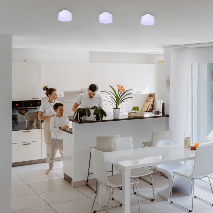 Rabalux - LED-kattovalaisin LED/24W/230V 3000K valkoinen