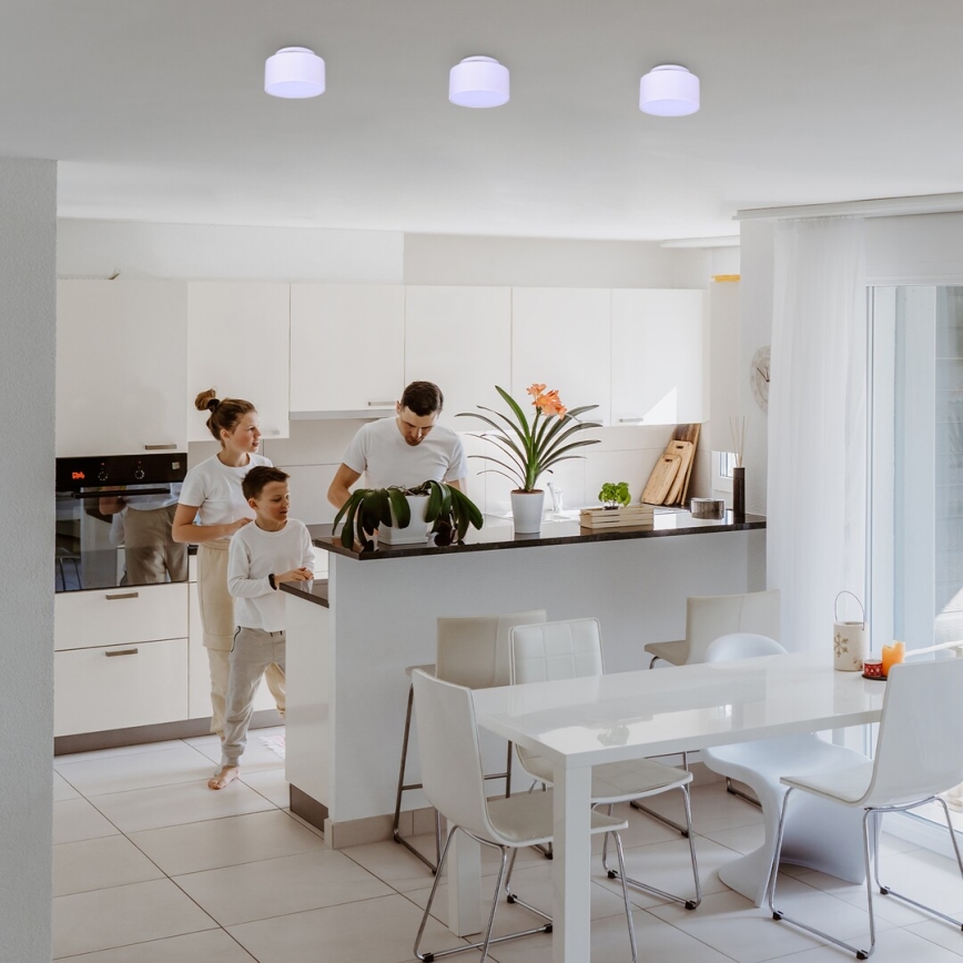 Rabalux - LED-kattovalaisin LED/24W/230V 3000K valkoinen