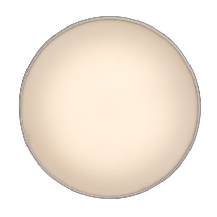 Rabalux - LED-kattovalaisin LED/24W/230V 3000K valkoinen