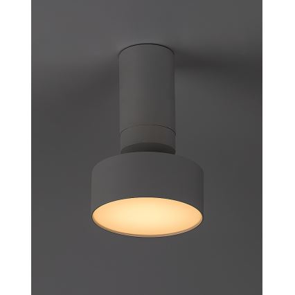 Rabalux - LED-kattovalaisin LED/10W/230V 3000K valkoinen