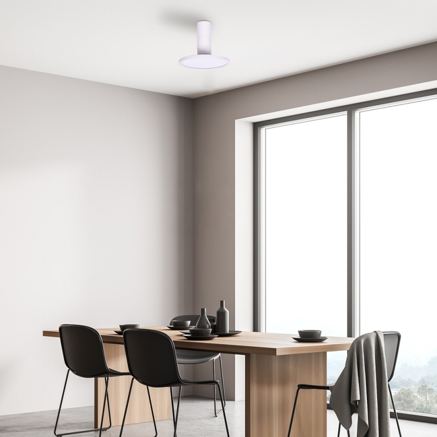 Rabalux - LED-kattovalaisin LED/20W/230V 3000K valkoinen