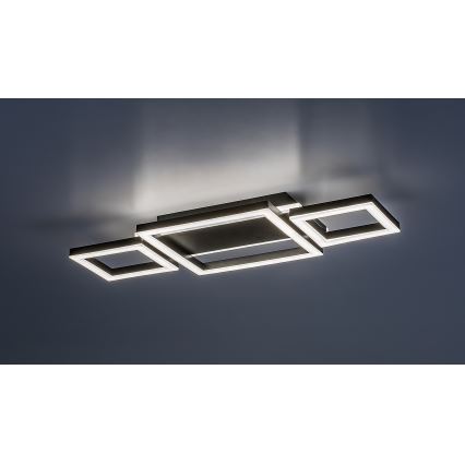 Rabalux - LED-kattovalaisin LED/24W/230V 4000K