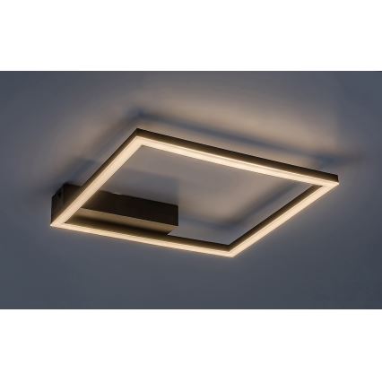 Rabalux - LED-kattovalaisin LED/24W/230V 3000K