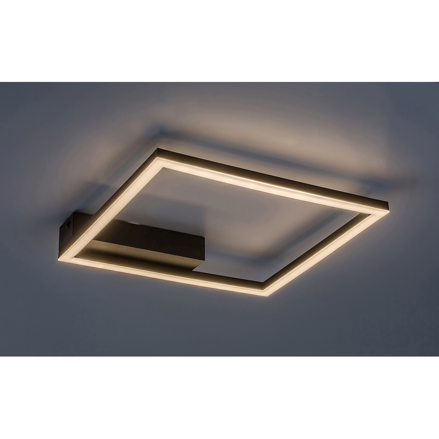 Rabalux - LED-kattovalaisin LED/24W/230V 3000K