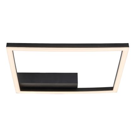 Rabalux - LED-kattovalaisin LED/24W/230V 3000K