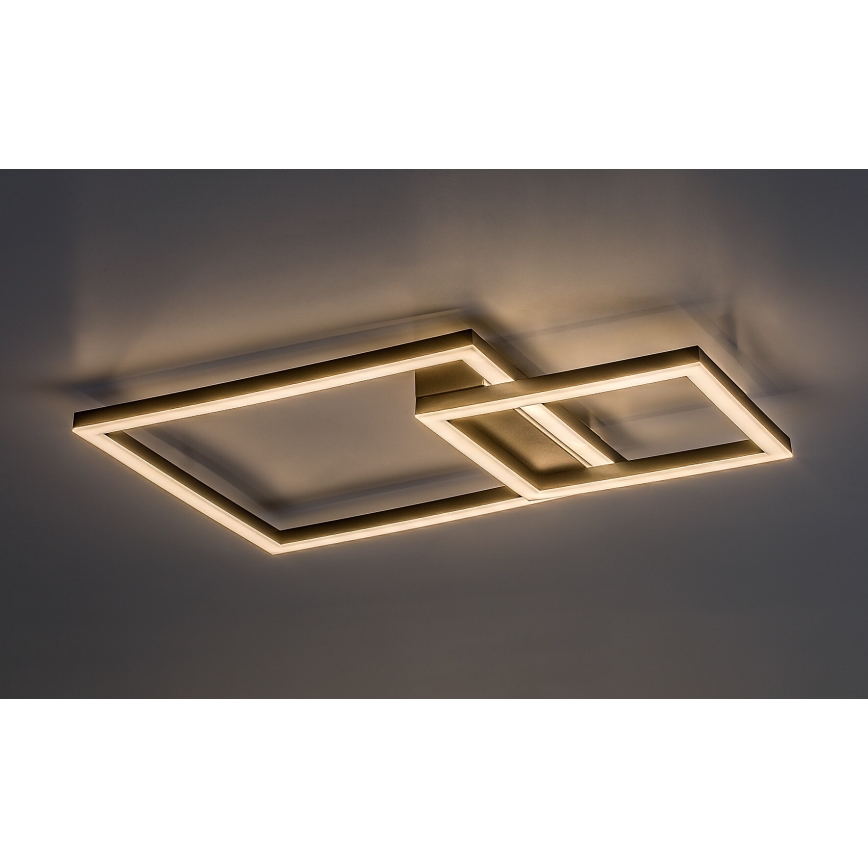 Rabalux - LED-kattovalaisin LED/24W/230V 3000K