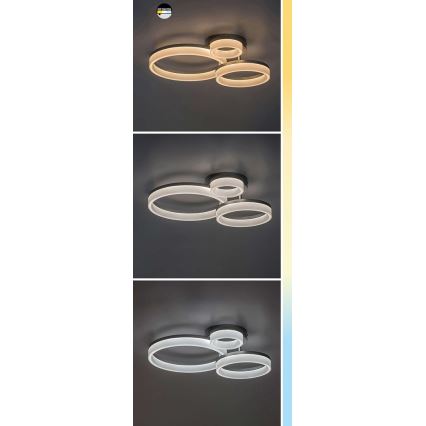 Rabalux - LED-kattovalaisin LED/24W/230V 3000/4000/6500K mattakromi