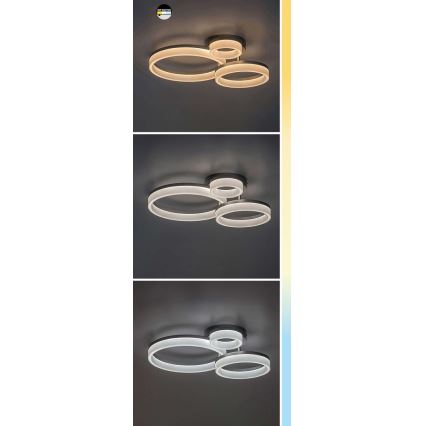 Rabalux - LED-kattovalaisin LED/24W/230V 3000/4000/6500K musta 38x51 cm