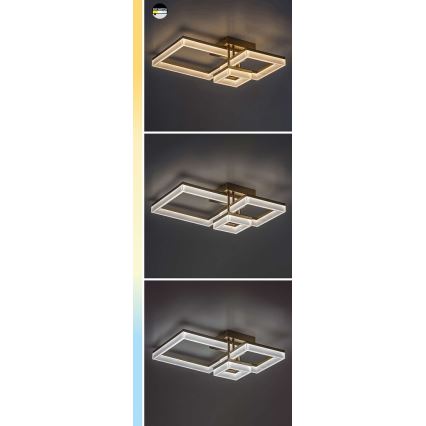 Rabalux - LED-kattovalaisin LED/22W/230V 3000/4000/6500K musta