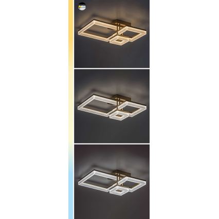 Rabalux - LED-kattovalaisin LED/22W/230V 3000/4000/6500K mattakromi