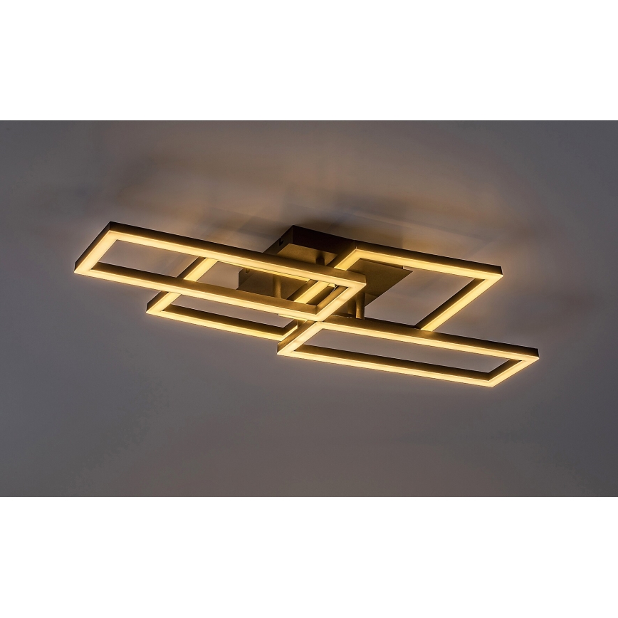 Rabalux - Himmennettävä LED-kattovalaisin LED/40W/230V 3000-6500K + kauko-ohjaus