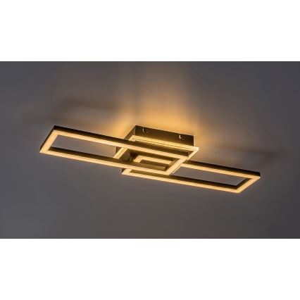 Rabalux - Himmennettävä LED-kattovalaisin LED/30W/230V 3000-6500K + kauko-ohjaus