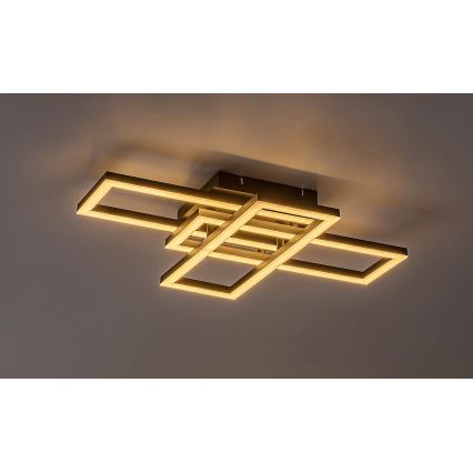 Rabalux - Himmennettävä LED-kattovalaisin LED/40W/230V 3000-6500K + kauko-ohjaus