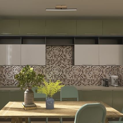 Rabalux - LED-kattovalaisin LED/8W/230V 4000K