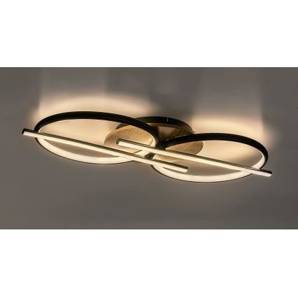 Rabalux - LED-kattovalaisin LED/40W/230V 3000/4000/6500K