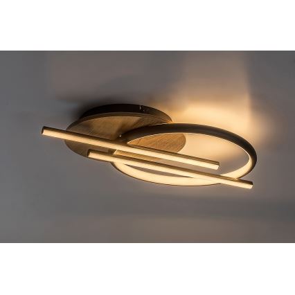 Rabalux - LED-kattovalaisin LED/40W/230V 3000/4000/6500K