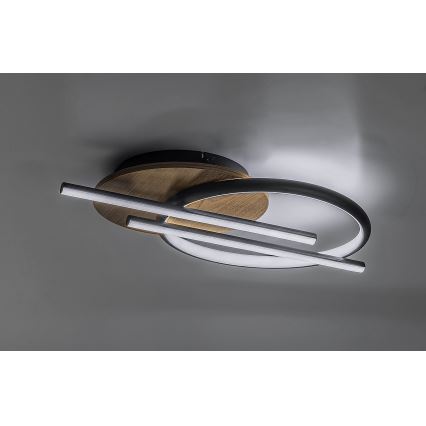 Rabalux - LED-kattovalaisin LED/40W/230V 3000/4000/6500K