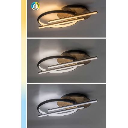 Rabalux - LED-kattovalaisin LED/40W/230V 3000/4000/6500K