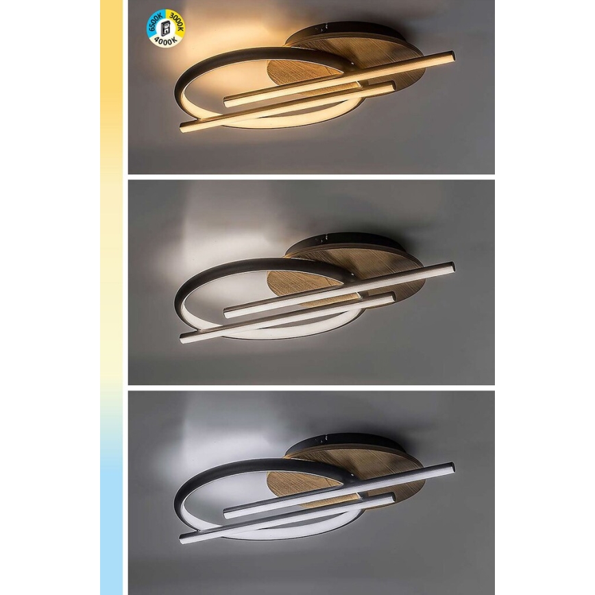 Rabalux - LED-kattovalaisin LED/40W/230V 3000/4000/6500K