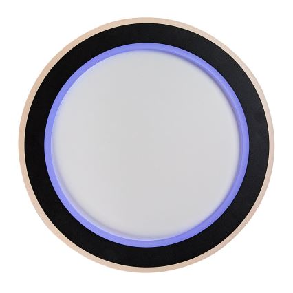Rabalux - Himmennettävä LED-RGB-kattovalaisin LED/22W/230V 3000-6500K + kauko-ohjaus