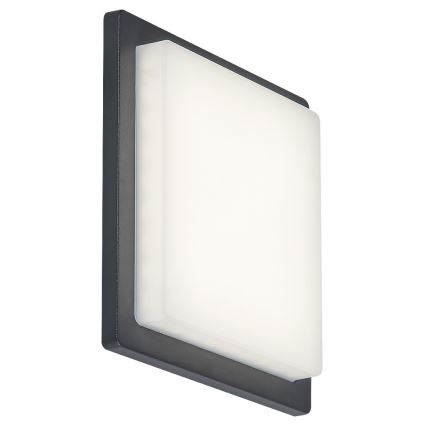 Rabalux - LED Ulkoseinävalaisin LED/8W/230V IP65