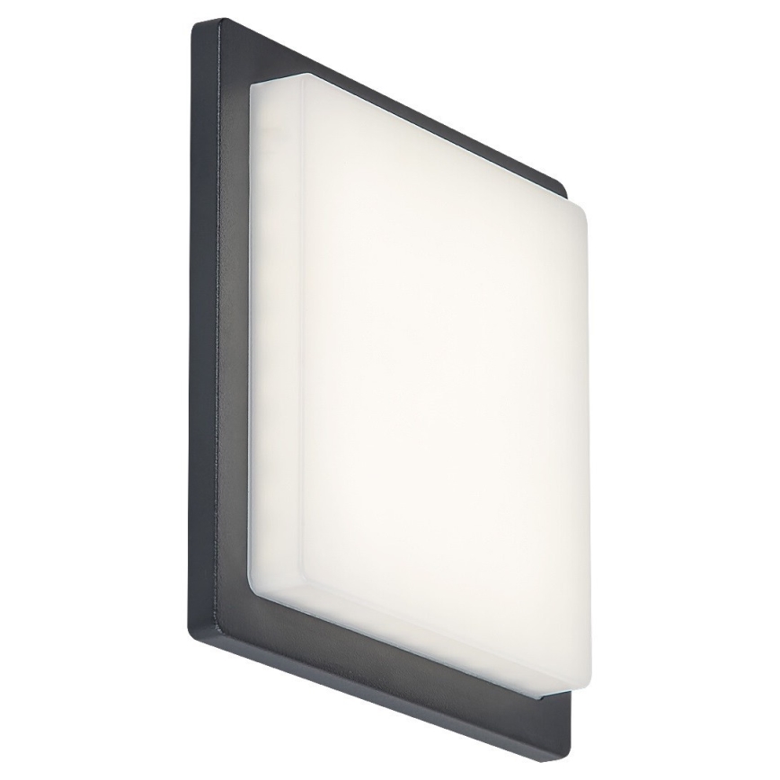 Rabalux - LED Ulkoseinävalaisin LED/8W/230V IP65