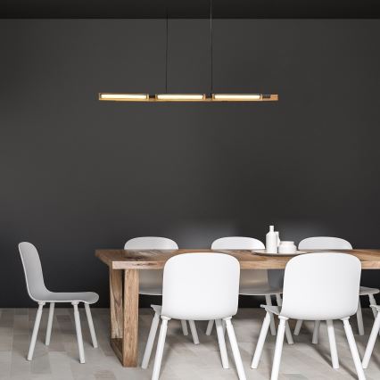 Rabalux - LED-kattokruunu johdossa LED/30W/230V 3000K
