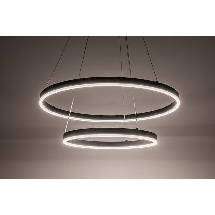 Rabalux - LED-himmennettävä riippuvalaisin kaapelilla LED/80W/230V 3000-6500K + kaukosäädin