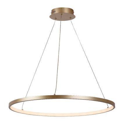 Rabalux - LED-riippuvalaisin kaapelilla LED/55W/230V 3000K