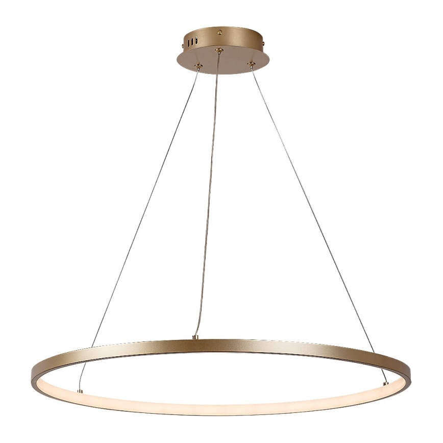 Rabalux - LED-riippuvalaisin kaapelilla LED/55W/230V 3000K