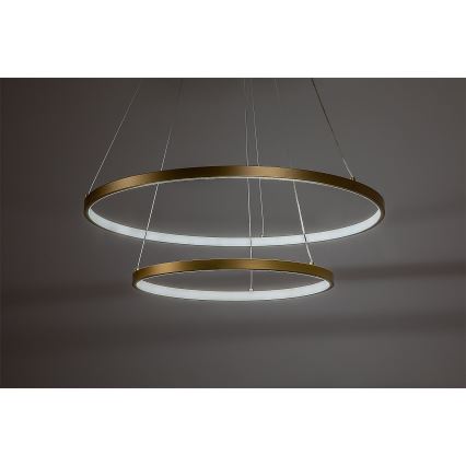 Rabalux - LED Himmennettävä riippuvalaisin vaijerilla LED/75W/230V 3000-6500K + kaukosäädin
