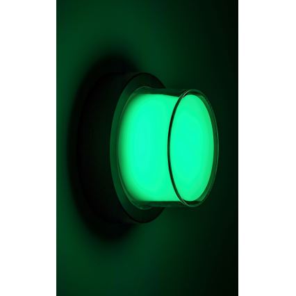 Rabalux - LED RGBW Ulkoseinävalaisin LED/10W/230V IP54 Wi-Fi Tuya