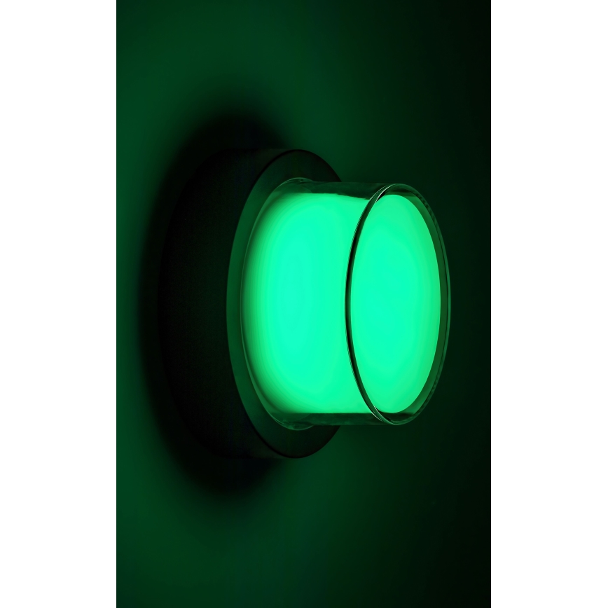 Rabalux - LED RGBW Ulkoseinävalaisin LED/10W/230V IP54 Wi-Fi Tuya